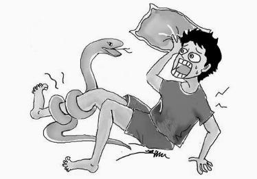 梦见被蛇咬是什么意思 梦见被蛇咬是什么意思 梦见被蛇咬是什么意思?_梦见被蛇咬是什么意思