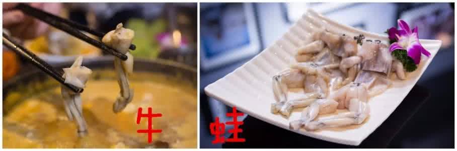 火锅店开业打折宣传语 呢间火锅店癫咗!打折打足16天,100蚊食到10种海鲜,目测要被逼爆了!
