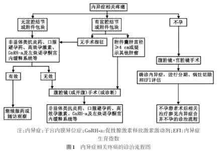 贯穿始末 内异症新指南 遵循与变通贯穿诊治始末