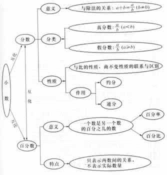 小学数学总复习概念整理