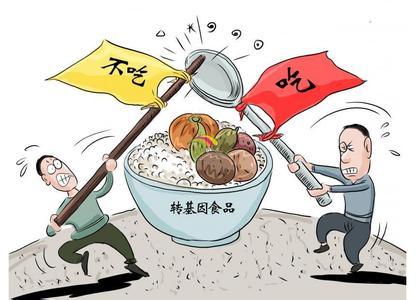 转基因食品安全论文 目前上市的所有转基因食品都是安全的