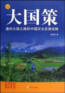 图书内容简介怎么写 大国策:大国策-图书信息,大国策-内容简介 大国策