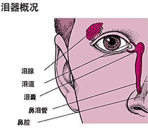 宝宝泪道堵塞按摩图 宝宝泪道堵塞按摩图 宝宝泪道堵塞的原因和治疗