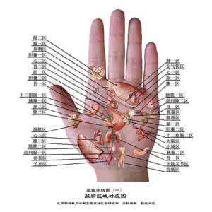 王晨霞掌纹图典 王晨霞掌纹图典【2】