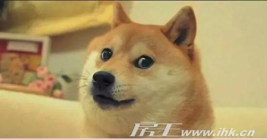 单身狗抱枕 单身狗抱枕 这款按摩枕比男友还贴心!有了它单身也可以爽到爆!