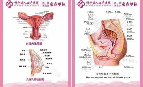 妇科病有哪些种类 妇科感染 妇科感染有哪些种类