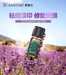 薰衣草精油功效与作用 薰衣草精油的功效与作用 薰衣草精油的功效及作用