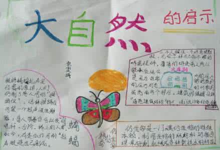 四年级大自然的手抄报 大自然的启示手抄报图片