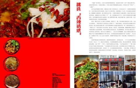 一整本都辣么辣么辣的杂志