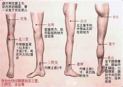 小腿腓肠肌可以捏下去 按摩穴位有奇效:捏小腿治肠胃