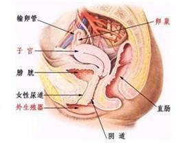 盆腔肿块良性恶性鉴别 盆腔肿块 别把盆腔肿块不当回事