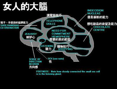 爱情潜意识 电影 解读爱情中的潜意识