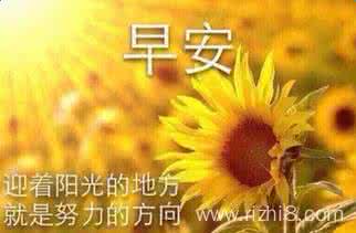 早安心语 早安心语:两人相爱,却不一定会在一起