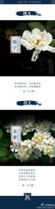 图解:花中十友 配诗