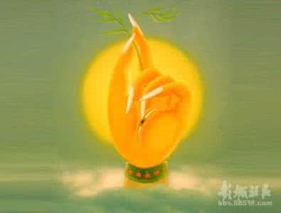 温柔的慈悲 生命的慈悲