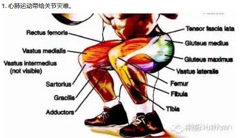 跑步能提高心肺功能 提高心肺功能的6种跑步法