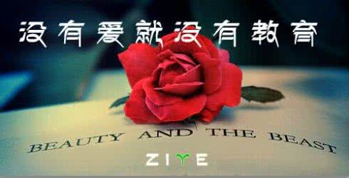 爱是教育的灵魂 热爱是教育的灵魂
