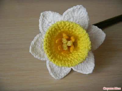 水仙花钩针视频 【钩针】针织水仙花