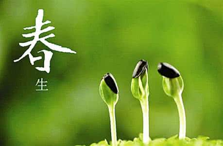 春季吃什么菜最好菜谱 春天什么最好吃