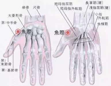 心脏病救心丸 手掌上的这个“救心丸”，心脏不好的人，要经常按一按！