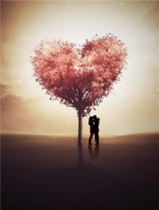 重生相守1977 相 守