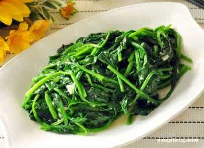 吃菠菜的禁忌 孕妇能吃菠菜吗 盘点吃菠菜的禁忌