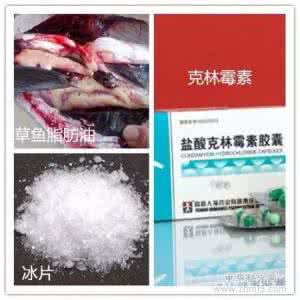 朱曦琴 朱曦琴烫伤秘方-----区区三味药，治疗烫伤神奇功效