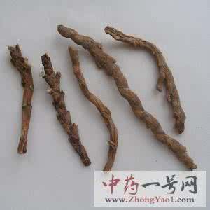 附石菖蒲怎么家庭水养 石菖蒲怎么食用 石菖蒲的食用方法