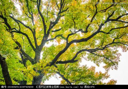 腌黄瓜咸菜的做法 “三菜三瓜”让你发现秋天究竟有多美