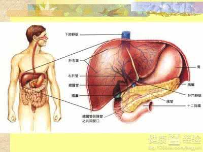 肝纤维化有哪些症状 肝纤维化 它的症状有哪些