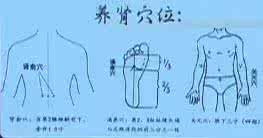 中医养肾补肾速查手册 中医养肾补肾的三大穴位