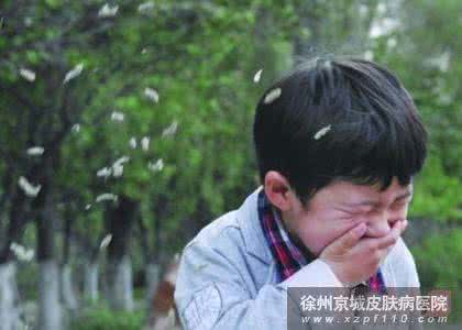 柳絮致多病齐发 艳阳下柳絮迷眼 过敏者涕泪齐下