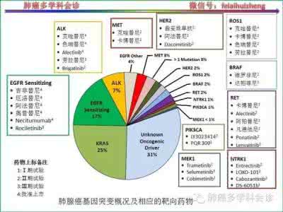 治疗肺癌的靶向药物 治疗肺癌的靶向药物 肺癌靶向治疗有哪些药物