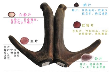 鹿茸能保存多久 鹿茸能保存多长时间