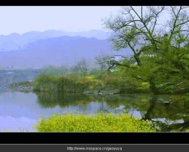 春草生,疯子也生 王孙游兮不归，春草生兮萋萋。