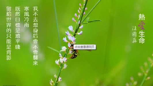 汪国真诗歌配乐 ? 配乐诗歌 | 汪国真《感谢》朗读:姜林杉