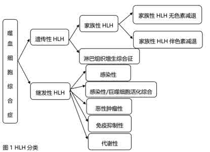 噬血细胞综合征 一文掌握：噬血细胞综合征诊治现状