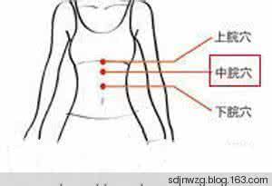 人体腹部穴位动画:中脘