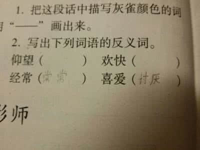 凶猛的反义词是什么呢 没的反义词是什么呢？