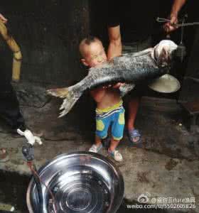 大头鱼钓法 大头鱼钓法 秋季水库然后掌握正确的钓法钓大鱼