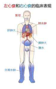 走出熊市需要标本兼治 控制心衰要标本兼治
