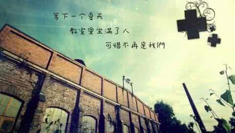 时光回到那年夏天 那年，那月，那时光