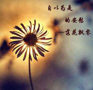 自以为是的意思 自以为是的安慰