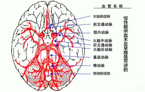 慢性脑供血不足 慢性脑供血不足，试试葛根