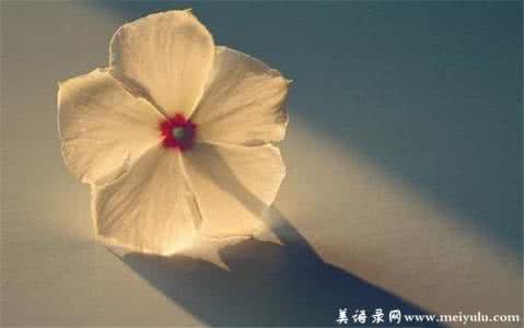 牵挂的滋味 情感美文 与春天牵个手【情感美文】