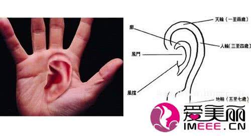 男人长什么耳朵有福气 富贵逼人 细数男人耳朵上的7大福痣