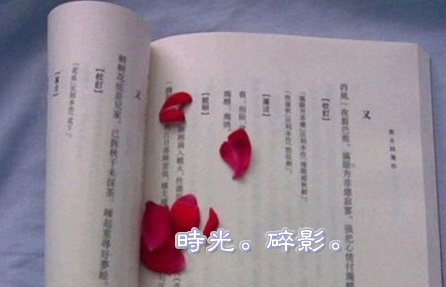 相见恨晚唯美句子 2017最新唯美句子——最美不过初相见