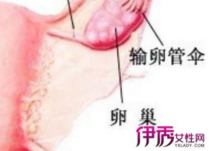 人流过后多久来例假 ​人流手术后一般多久来月经