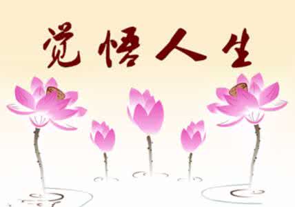 人生大总结 (火了)