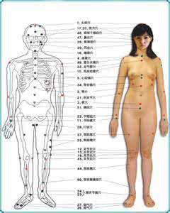 针刺、按揉或艾灸相关穴位可以抗癌